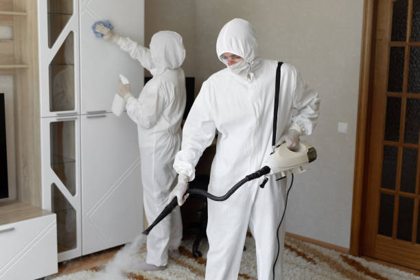 24/7 Emergency Odor Removal experts in Albany, KY